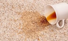 Pet stain removal, Coffee stain removal, Carpet cleaning service, spot cleaning, stain treament, wine stain removal, remove orange juice, Carpet Cleaning. Carpet cleaner